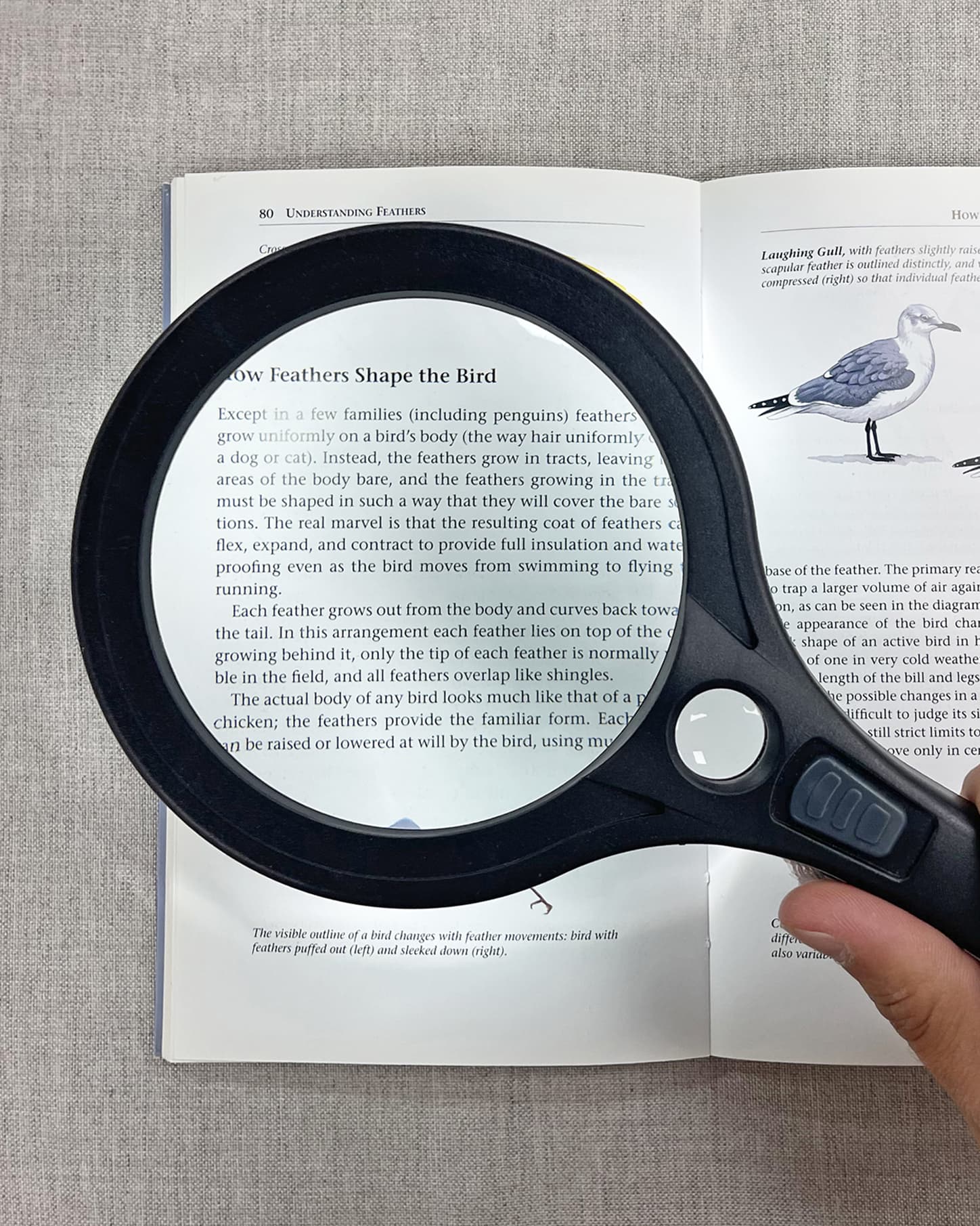 Carson - Magnification You Can Trust™