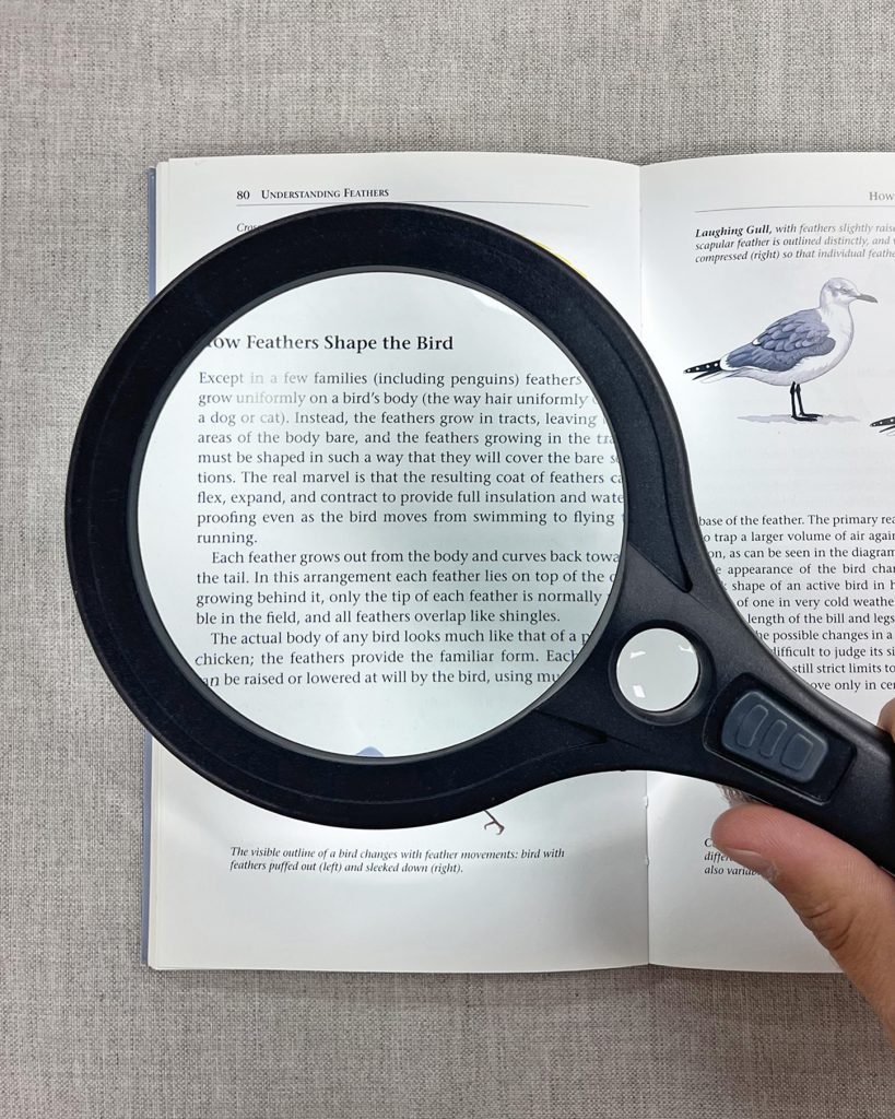 Craft & Hobby Image - magnifier