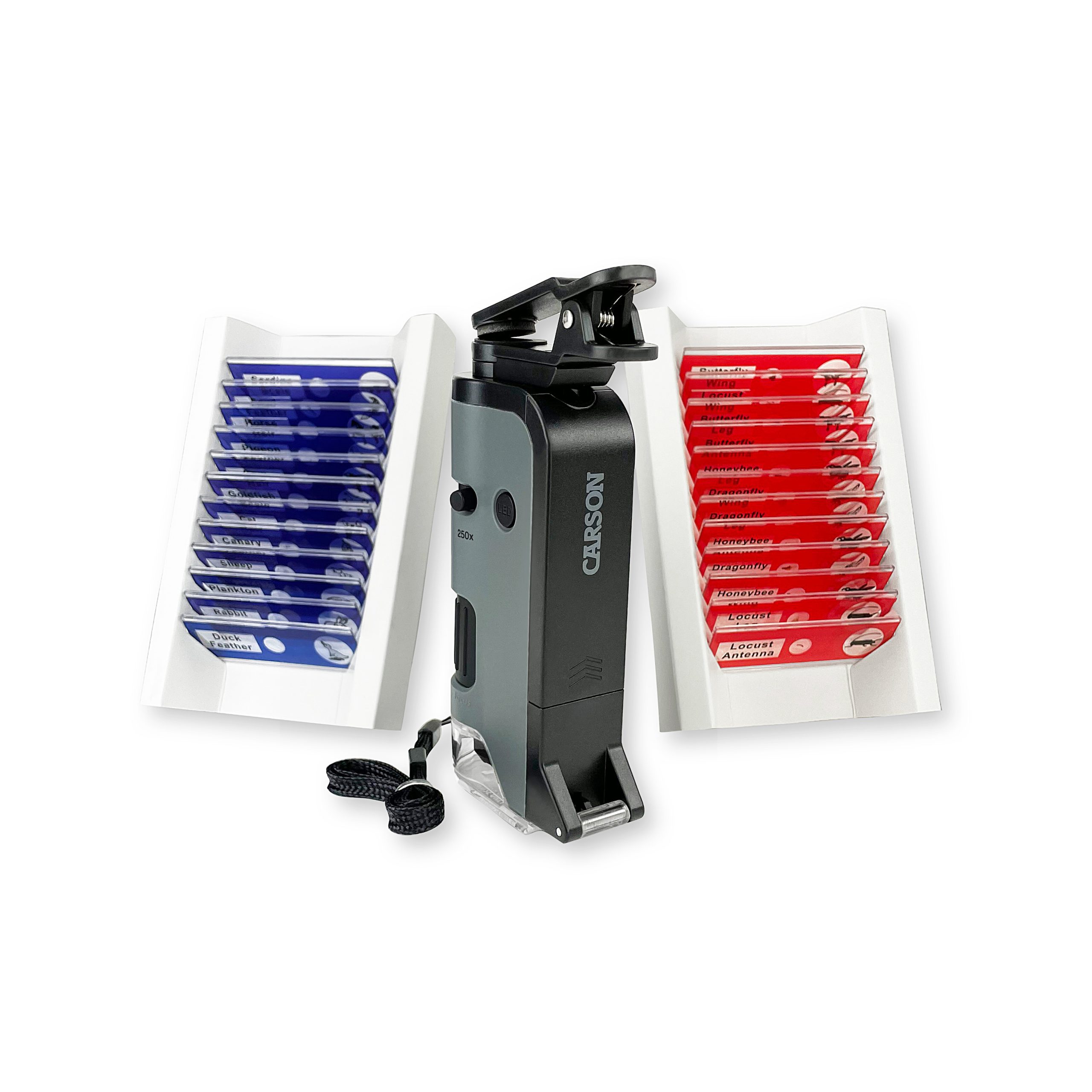 MicroFlip™ 100x-250x LED UV Pocket Microscope Kit, 24 Prepared Slides -  Carson
