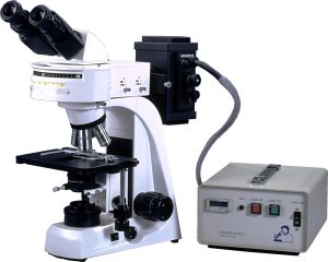fluorescence microscope, microscope light source for fluorescent molecules in specimen microscope sample, professional microscope research