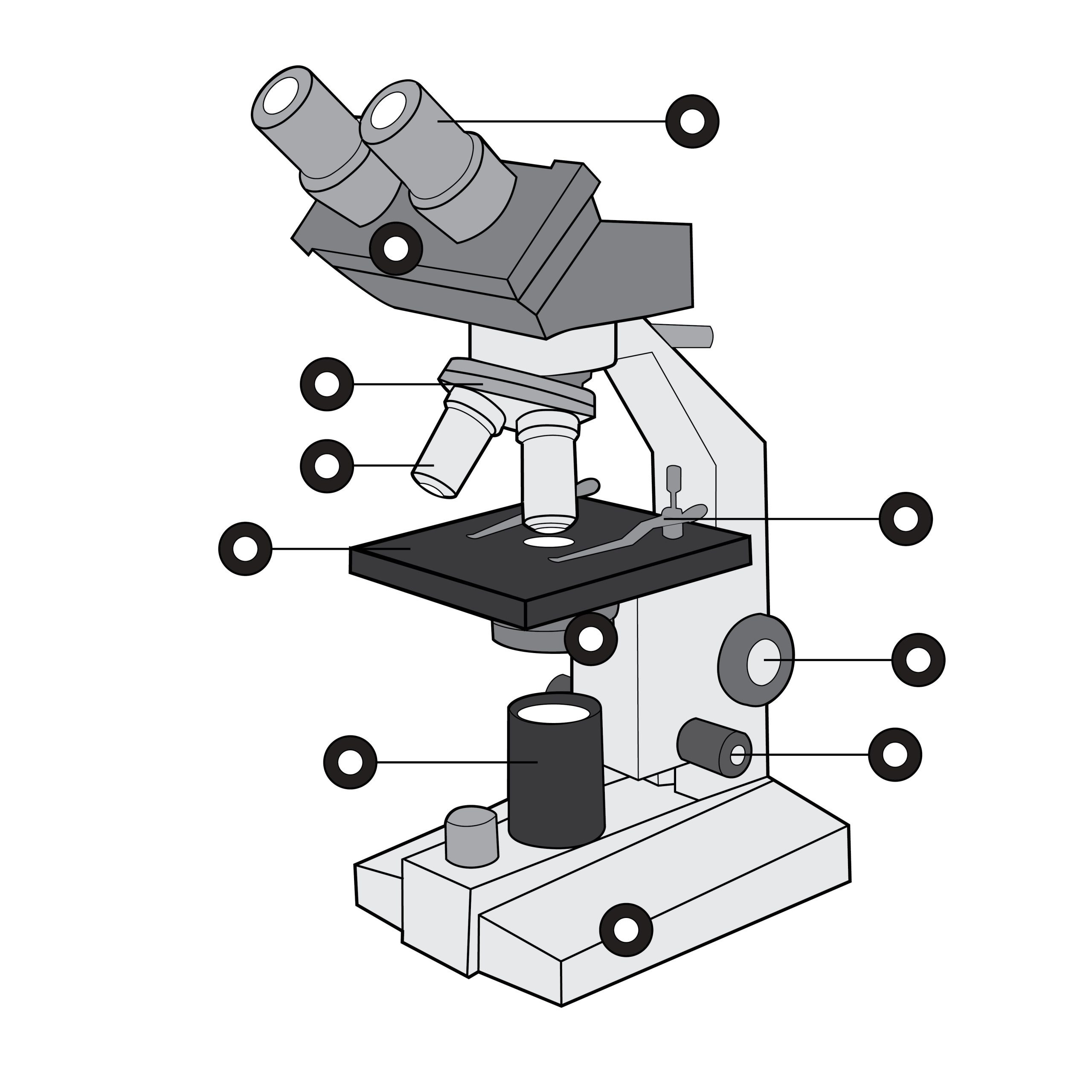 microscope parts labeled for kids